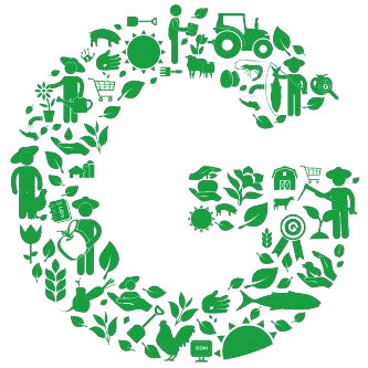 global gap certification